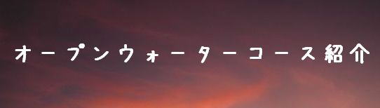 �\��̗���