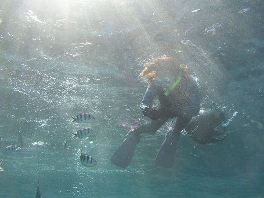 ���v����