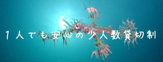 �X�s�b�c�̍u�K�͏�ɏ��l���ݐؐ�